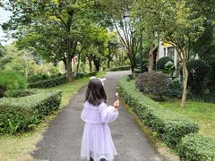 -深圳东部华侨城茵特拉根酒店
