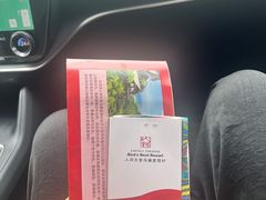 -三亚亚龙湾人间天堂鸟巢度假村