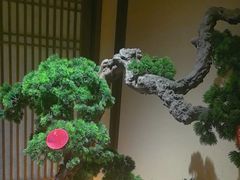-揽季锅物会.福建黄鱼.海鲜姿造(五四路店)