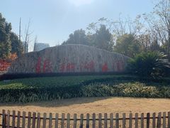 -南翔镇银翔湖公园