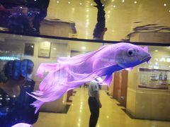 -陇菜和盛祥(金轮宾馆店)