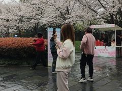 -堤角公园
