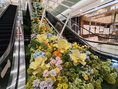 -凯德MALL(望京店)