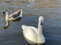 -石家庄市动物园