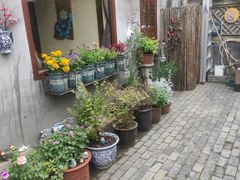 -小草屋轰趴馆别墅派对新场团建家庭聚会