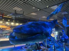 -国家自然博物馆