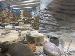 -香港海洋公园