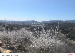 -白水寺森林公园