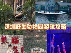 -深圳野生动物园