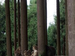 -太阳湾风景区