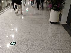 -青岛胶东国际机场
