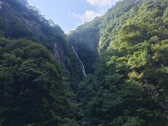 -大鄣山卧龙谷景区
