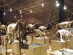 -世界恐龙谷景区