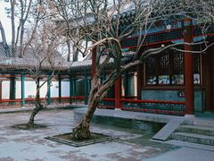 -荣国府
