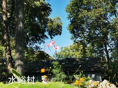 -水峪民俗村