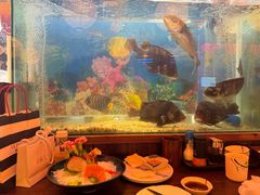 -鸟鹏烧鸟居酒屋(熙龙湾店)