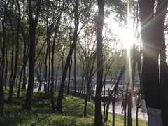 -西安市长乐公园