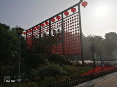 -合肥滨湖国家森林公园