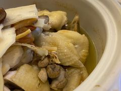 清炖鸡-花城苑广府菜(侨鑫店)