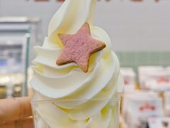 冰淇淋-红星前进面包牛奶公司(君太店)