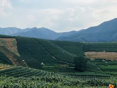 -侘山民宿(杭州西湖龙坞店)