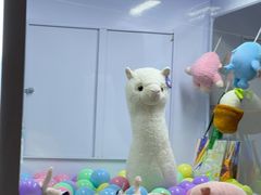 -涨巢·潮玩水疗局