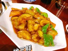 -青花瓷北方饺子城(吾悦广场店)