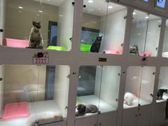 -乐宠宠物店(世纪金源店)