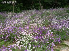 -云峰山自然风景区