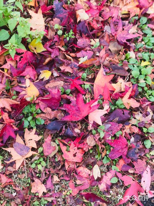 金泽21世纪美术馆图片