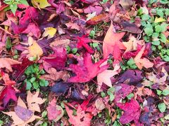 -金泽21世纪美术馆