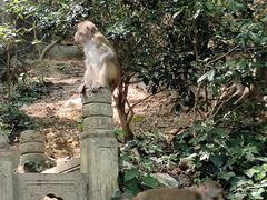 -黔灵山公园