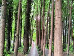 -采石矶景区