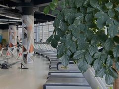 -天行健身＆天行拳馆跆拳道·格斗TXGYM