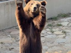 -石家庄市动物园