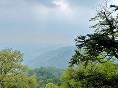-青城山