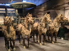 -秦始皇帝陵博物院-丽山园