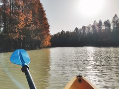 -上海海湾国家森林公园