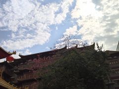 -越秀西湖花市(广州城市广场花卉店)