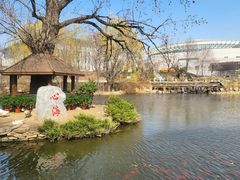 -武汉大学-樱园