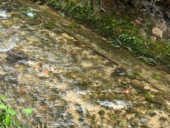 -竹庄餐馆·26年店(南昆山景区店)