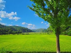 -南泥湾风景区