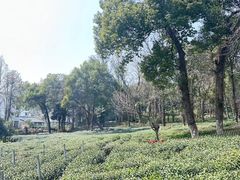 -野蔓果·山野菜(西湖景区·龙井茶田店)