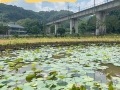 -黄埔油麻山森林公园