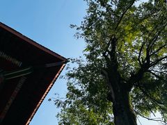 -重庆市江北嘴中央商务区中央公园