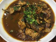 -全乐鱼馆·淳牌有机鱼直营店