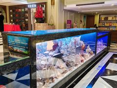 -新海渔港·胶东海鲜家常菜·家宴(奥体中心店)