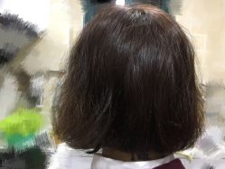 -镁连社·美联社