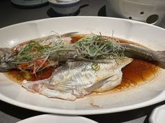-晓淮山·扬州早茶·淮扬菜(龙阳广场店)