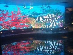 -唐宫足道·SPA·住宿24H会所(木渎店)